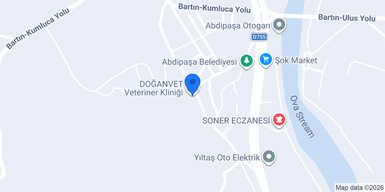 DOĞANVET Veteriner Kliniği konumu