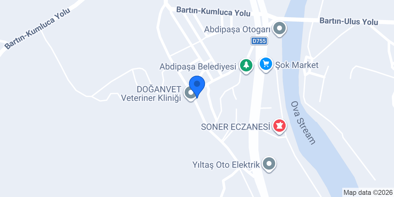 Ptt konumu