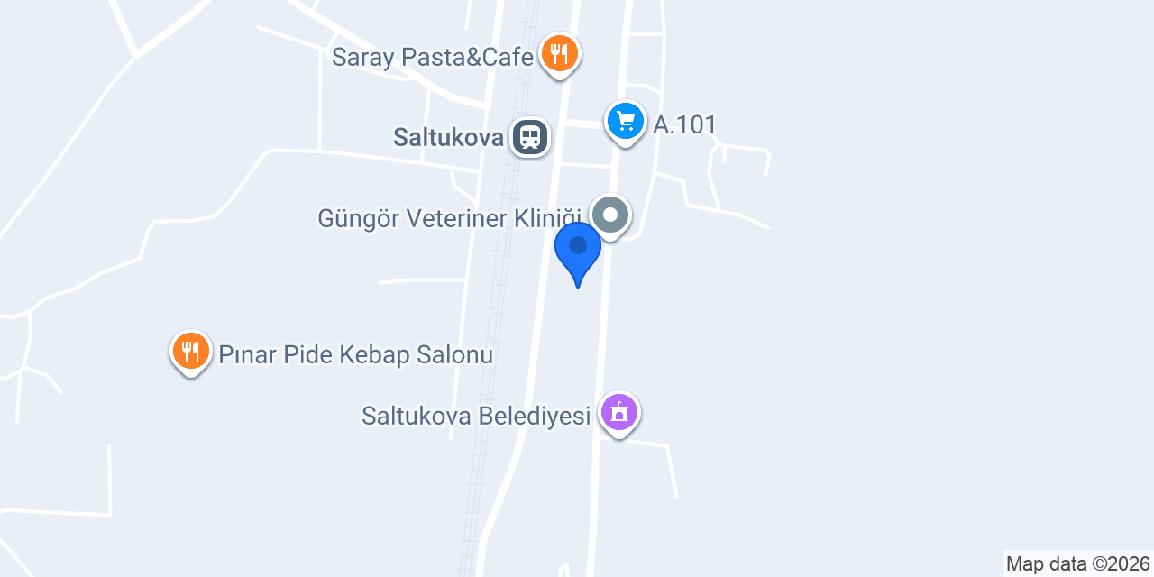 Saltukova Lisesi konumu