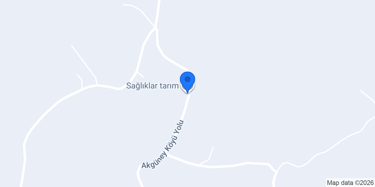 Atatürk Ortaokulu konumu