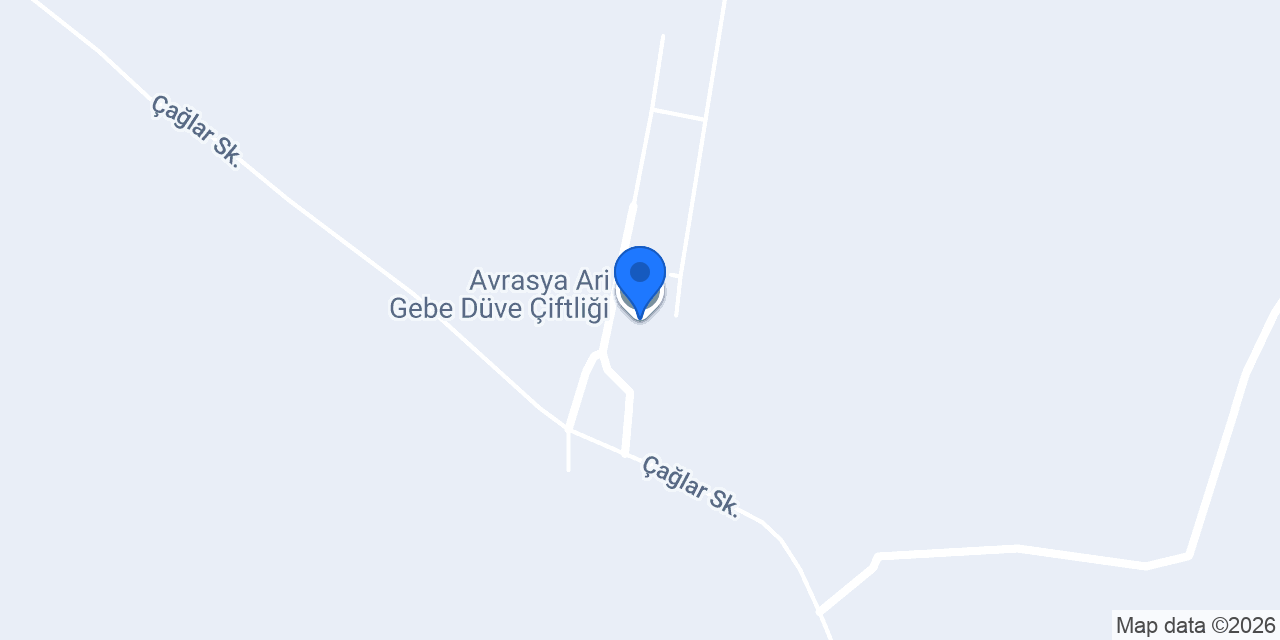 Avrasya Ari Gebe Düve Çiftliği konumu