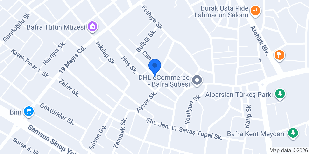 Vektör Bilişim konumu