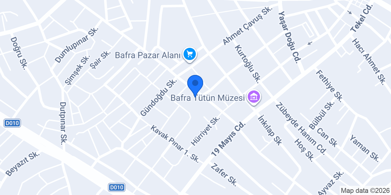 Yeni Doğan Yumurta konumu