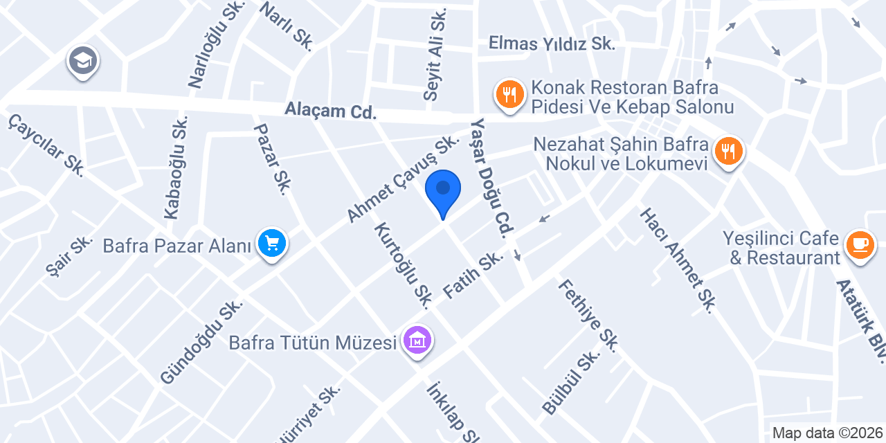 Doğan Elektronik konumu