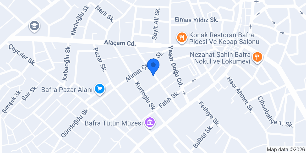 Gümüş Dedektör Samsun konumu