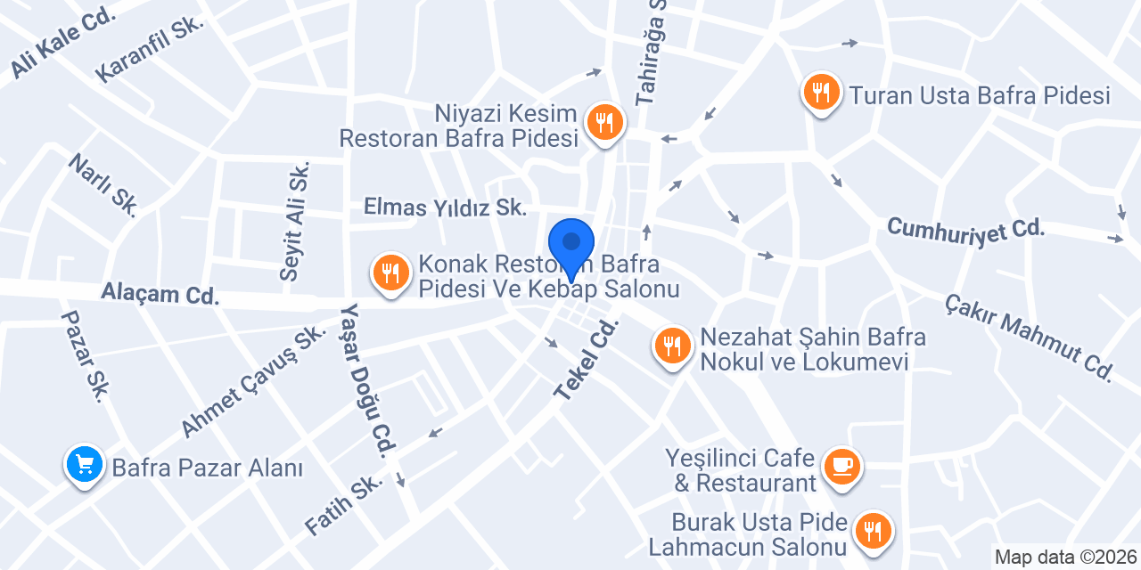 TEMEL EMLAK konumu