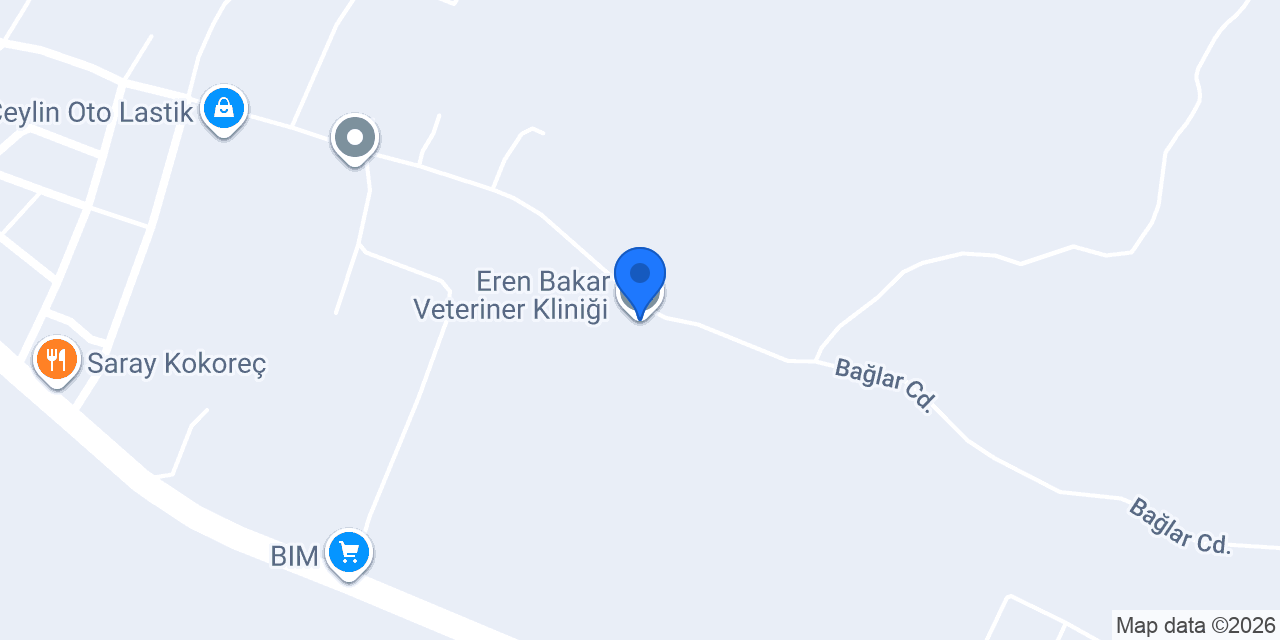 Eren Bakar Veteriner Kliniği konumu