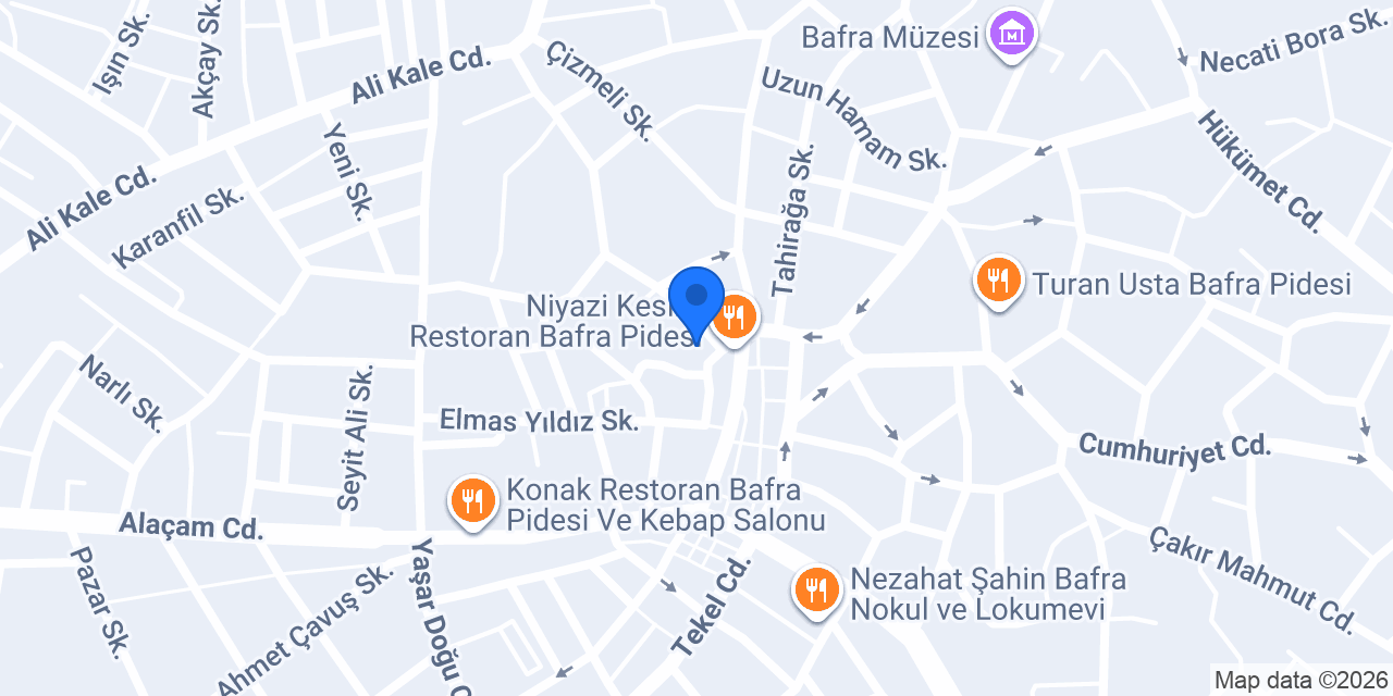 Psikolog Elif Terzioğlu konumu