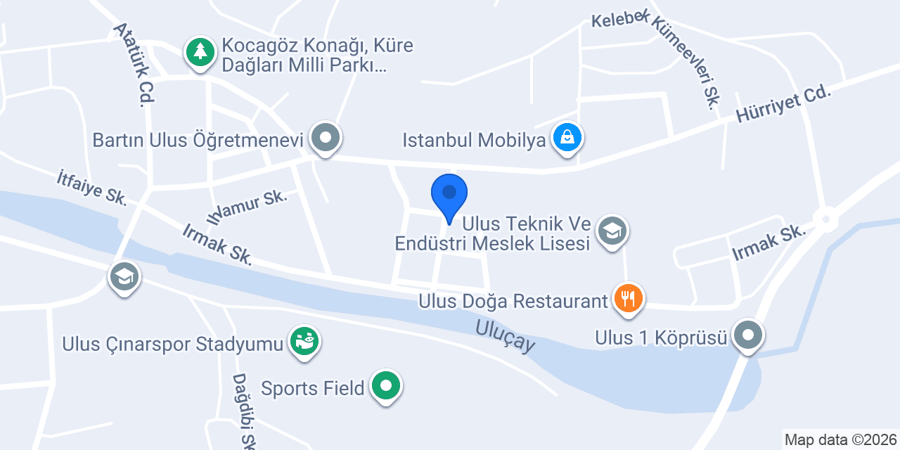 Ünlü oto lastik konumu