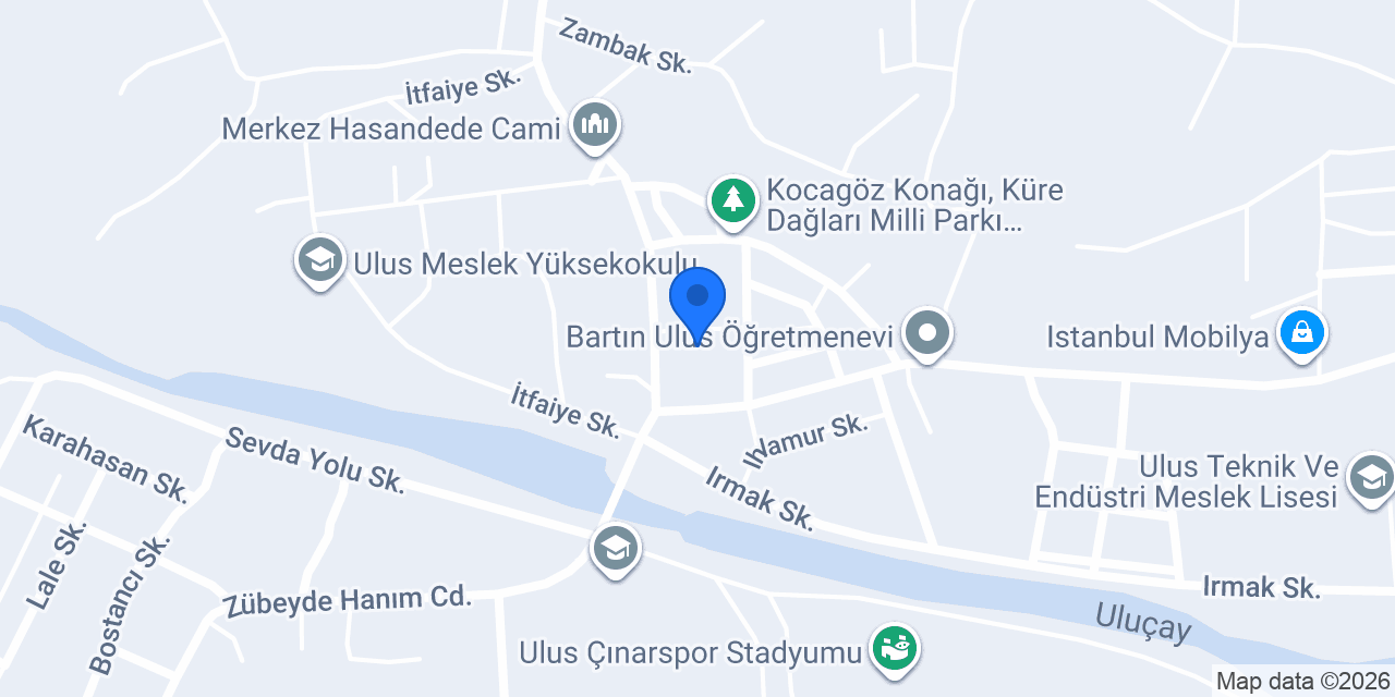 Uzman elektironik konumu
