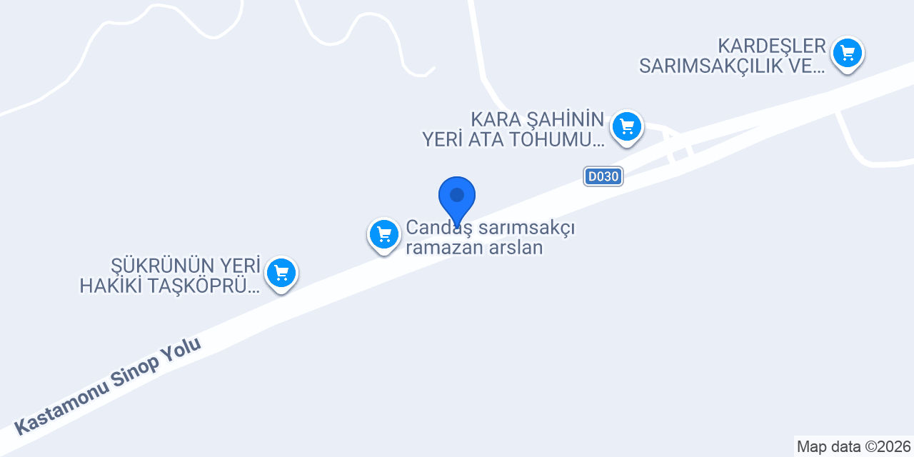 Can daş sarımsakçı konumu