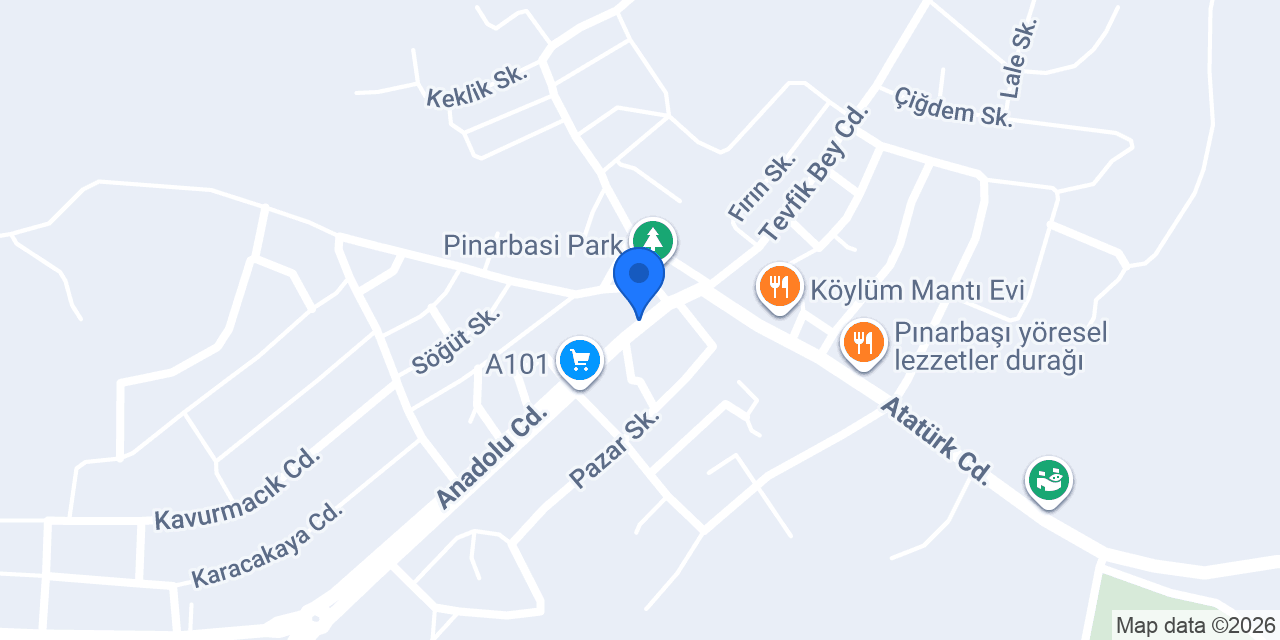 ASLANMARKET TEKEL BAYİ konumu