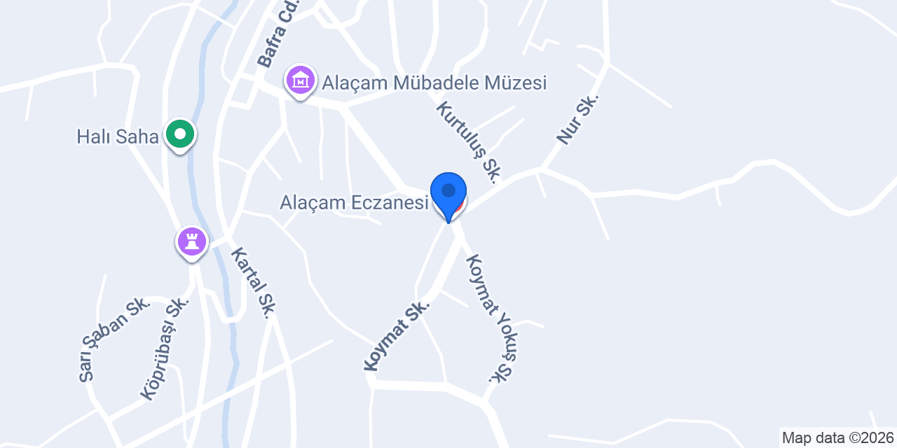 Alaçam İmam Hatip Lisesi konumu