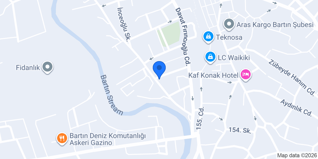 Kaktüs Sukulent konumu