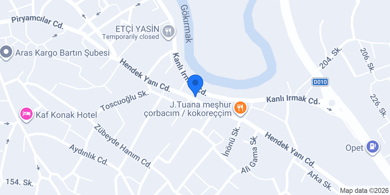 Netses Elektronik konumu