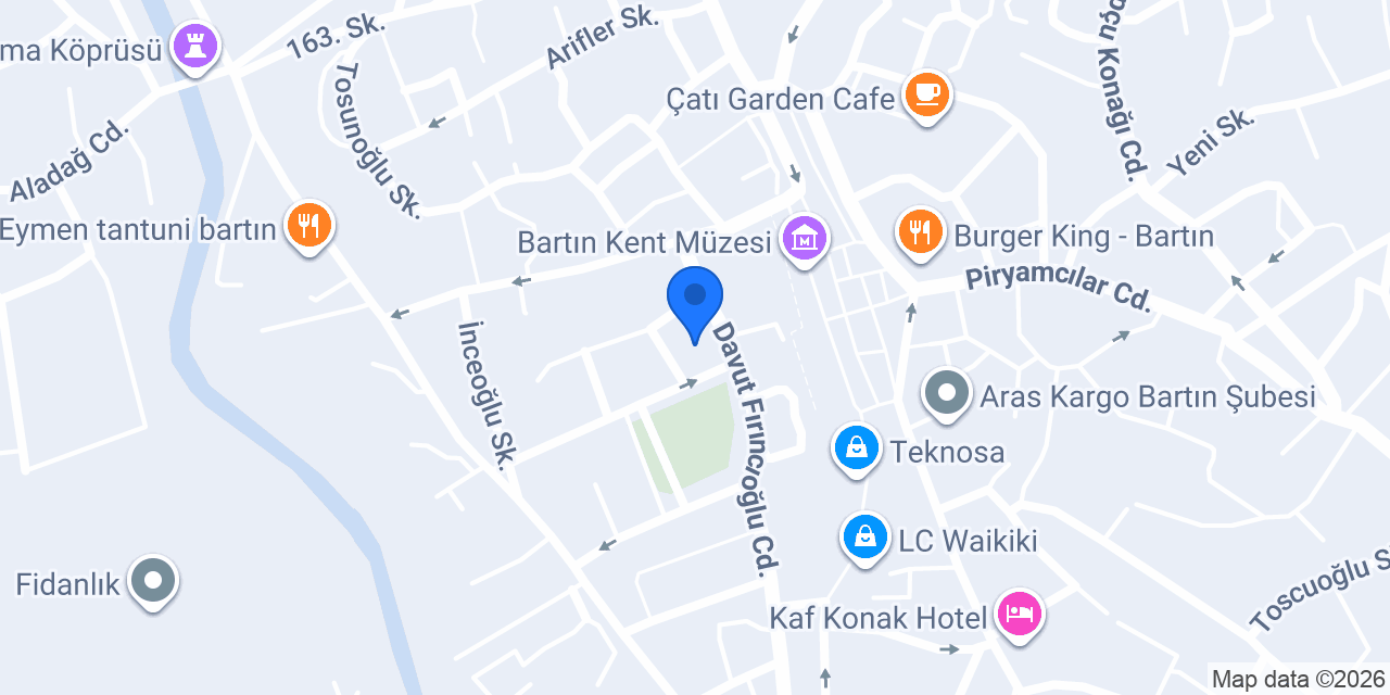 Mikro Elektronik konumu