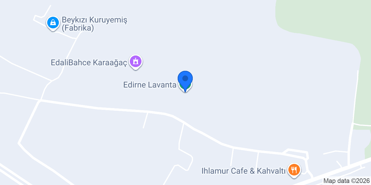 Edirne Lavanta konumu