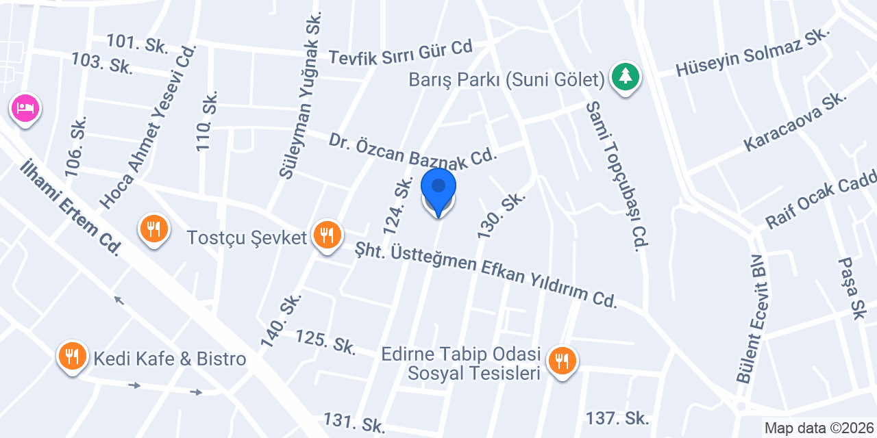 Şehit Üsteğmen Efkan Yıldırım Ortaokulu konumu