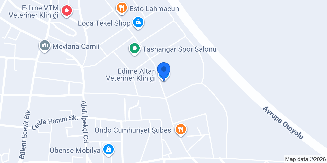 Edirne Altan Veteriner Kliniği konumu