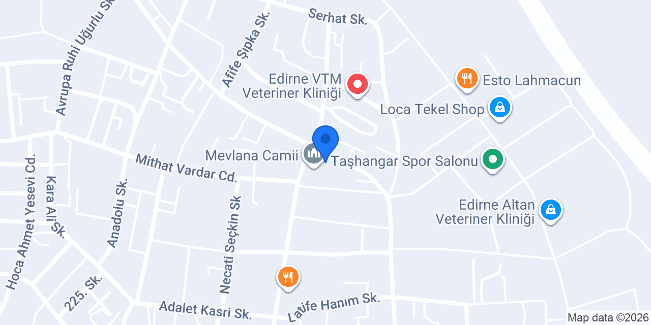 Mevlana Taksi konumu