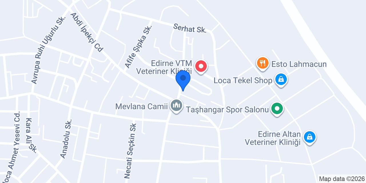 EDİRNE DAĞDELEN SU konumu