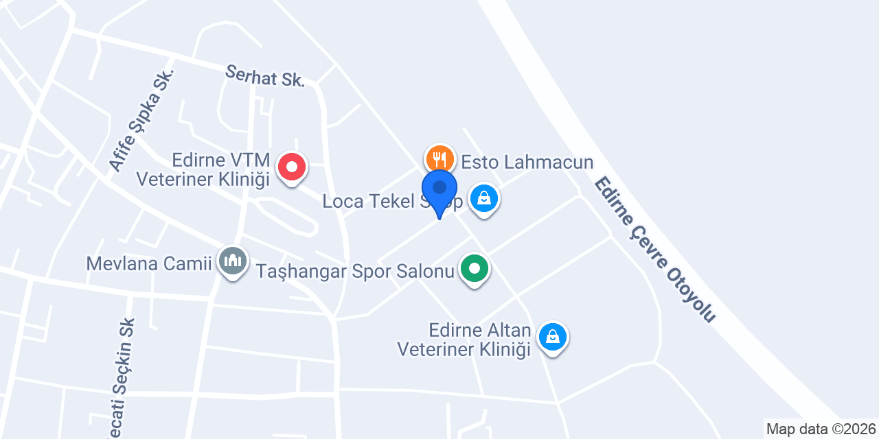Edirne Rotam Akademi konumu