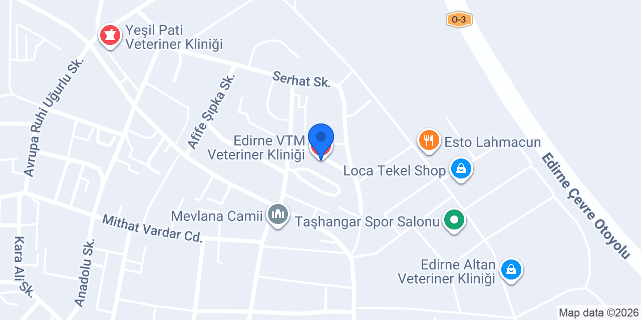 Edirne VTM Veteriner Kliniği konumu
