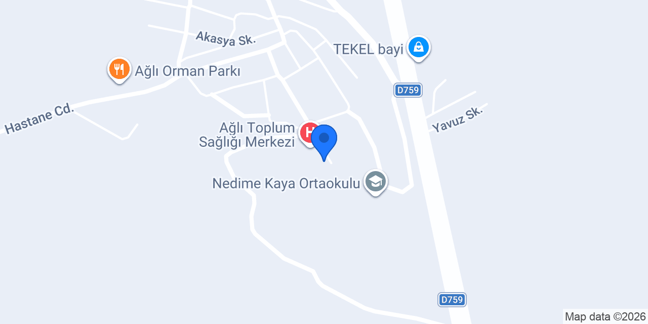 Kazım Erdem Çok Programlı Anadolu Lisesi konumu