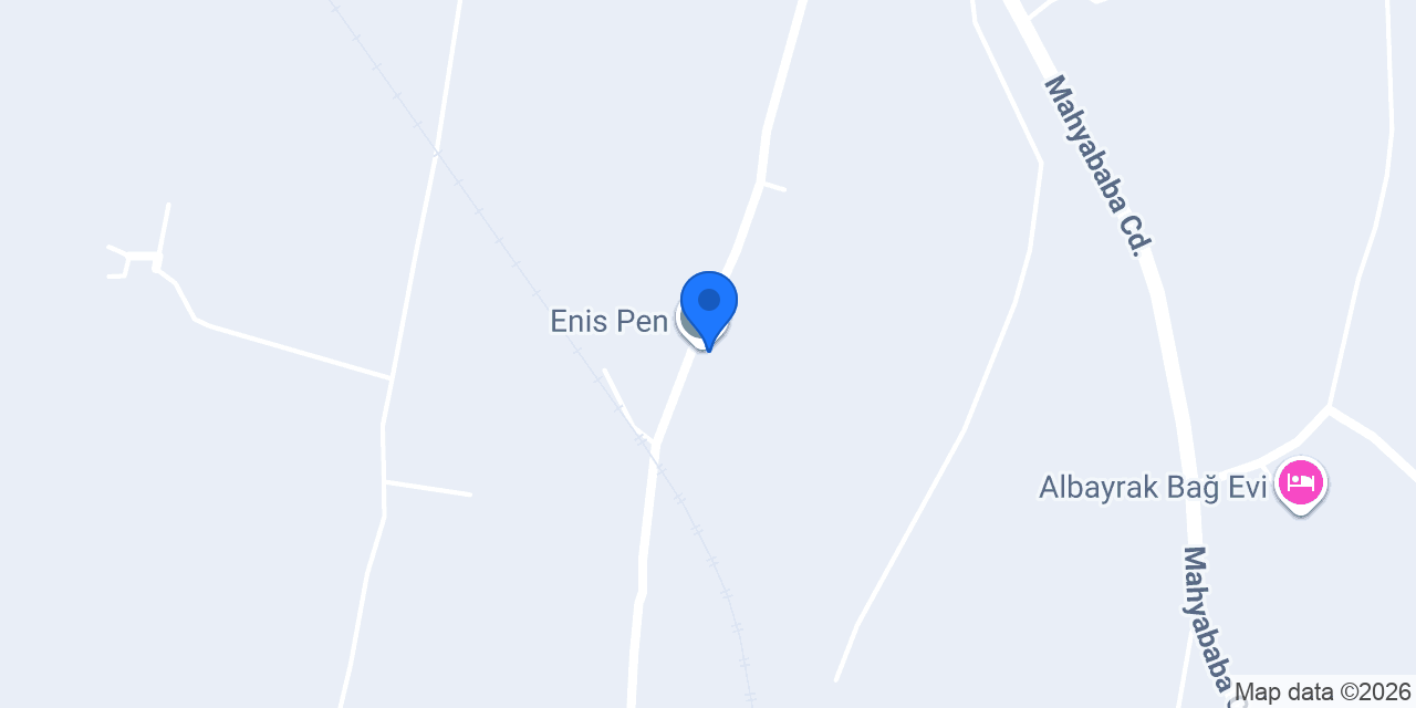 Enis Pen konumu