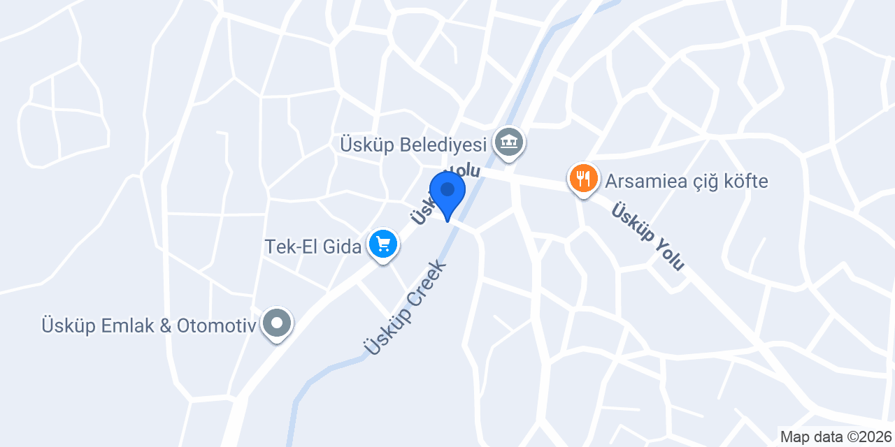 ASLAN USTA konumu