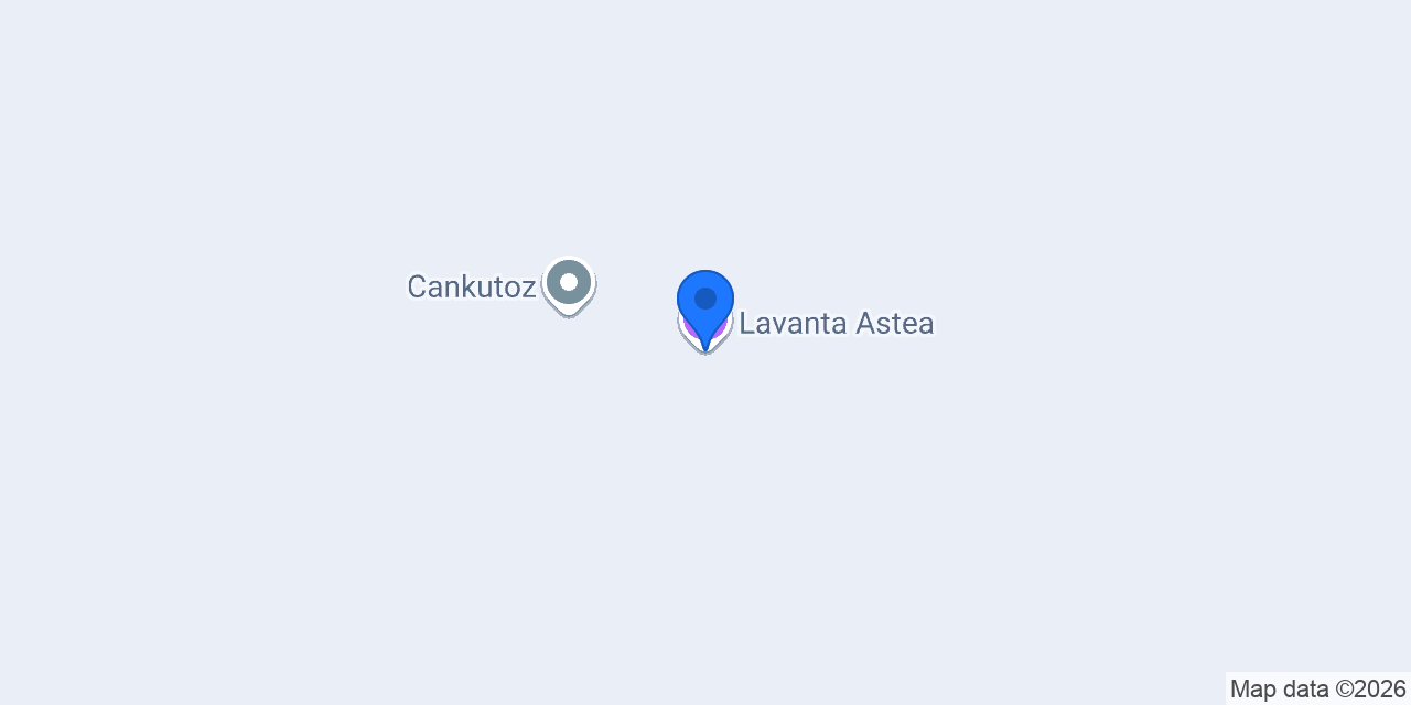 Lavanta Astea konumu
