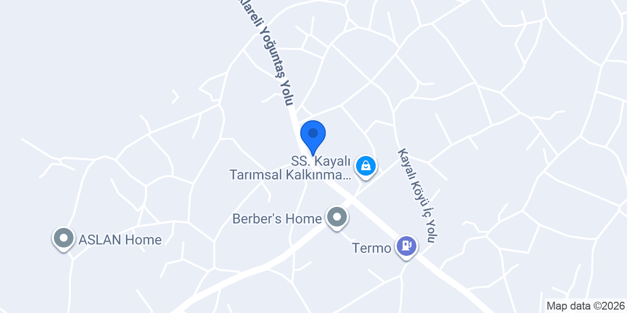 Kayalı İlköğretim Okulu konumu