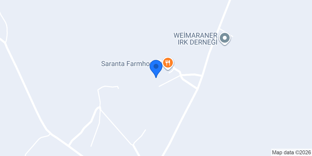 Saranta Winehouse konumu