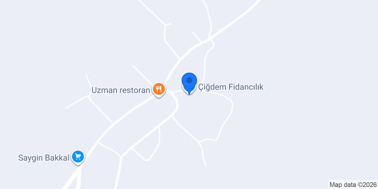 Çiğdem Fidancılık konumu