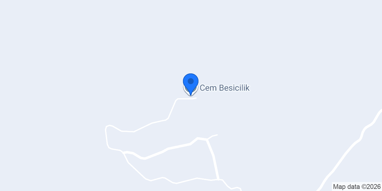 Cem Besicilik konumu