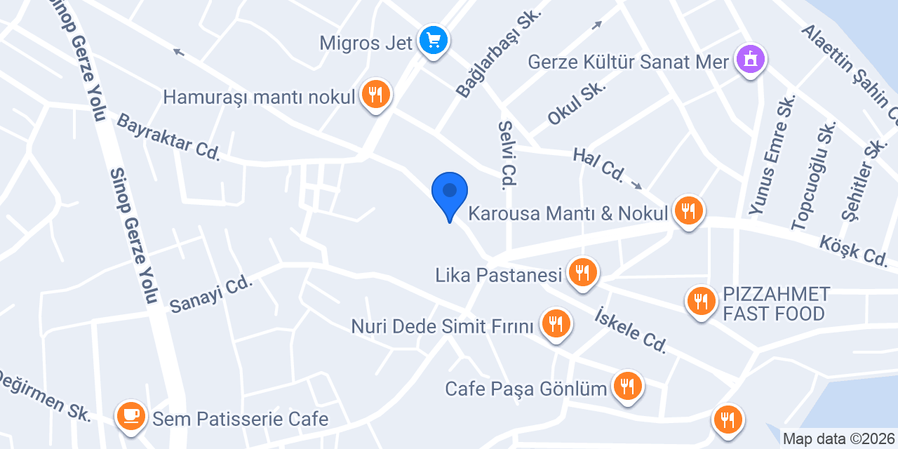 GERZE İLETİŞİM ELEKTRONİK konumu