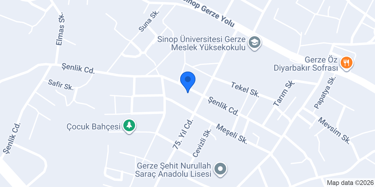CAE Bilişim konumu
