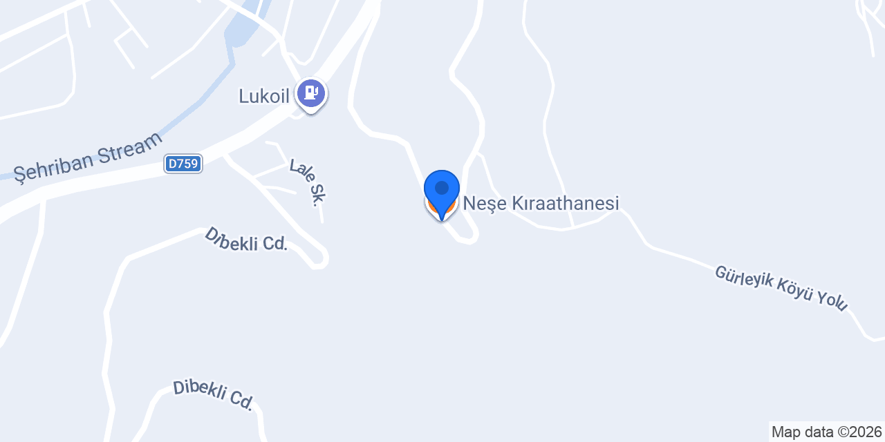 Neşe Kıraathanesi konumu