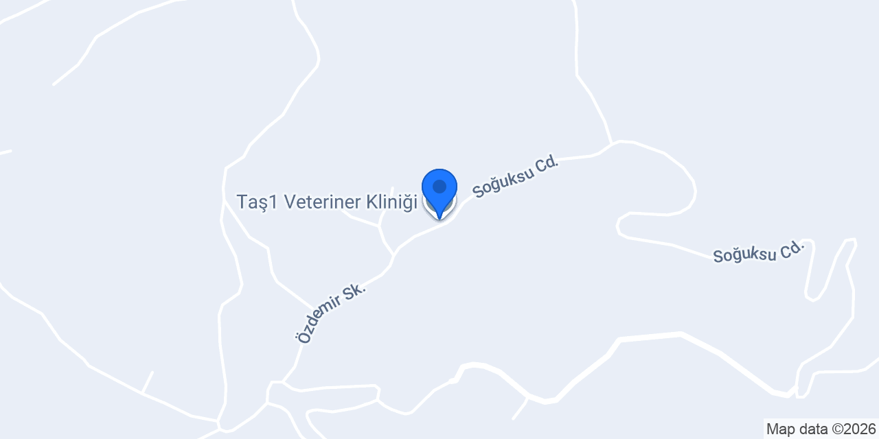 Taş1 Veteriner Kliniği konumu