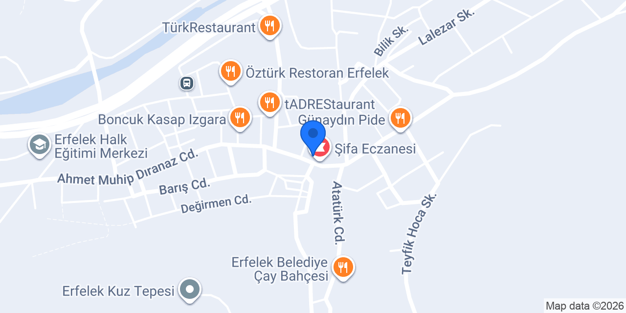 Erfelek Doğa çiçek evi konumu