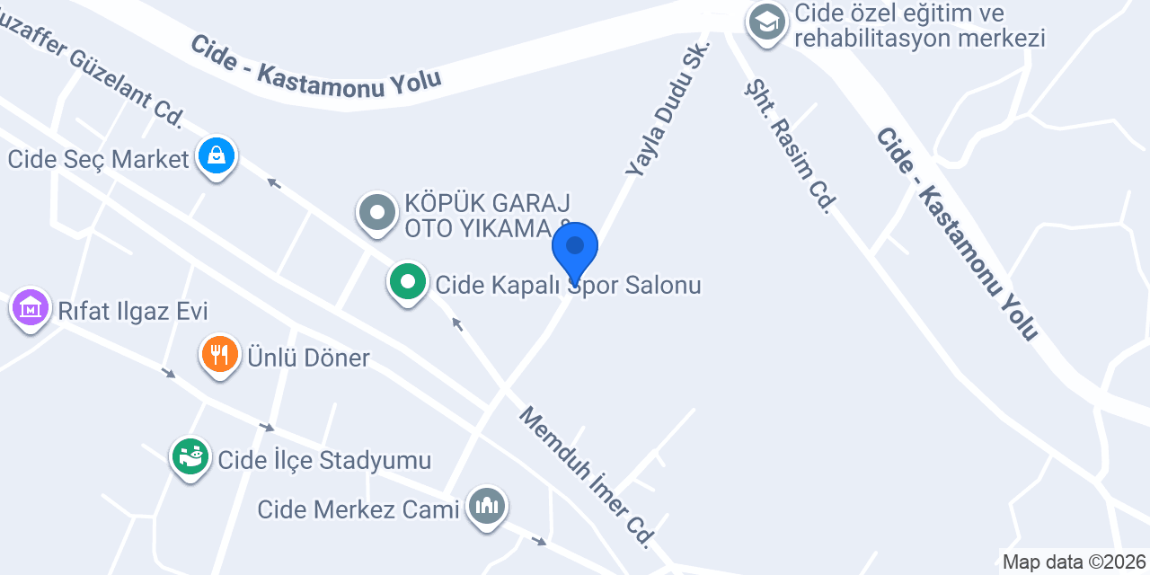 Ayı Şaban Pansiyon konumu
