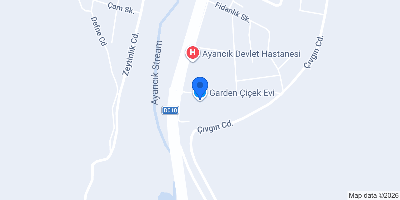 Sürat Kargo Ayancık Şube konumu