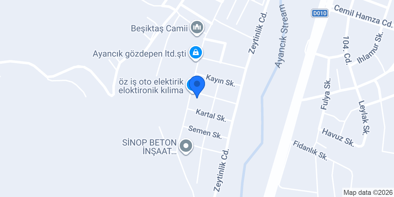 ÖZEL OTO SERVİS konumu