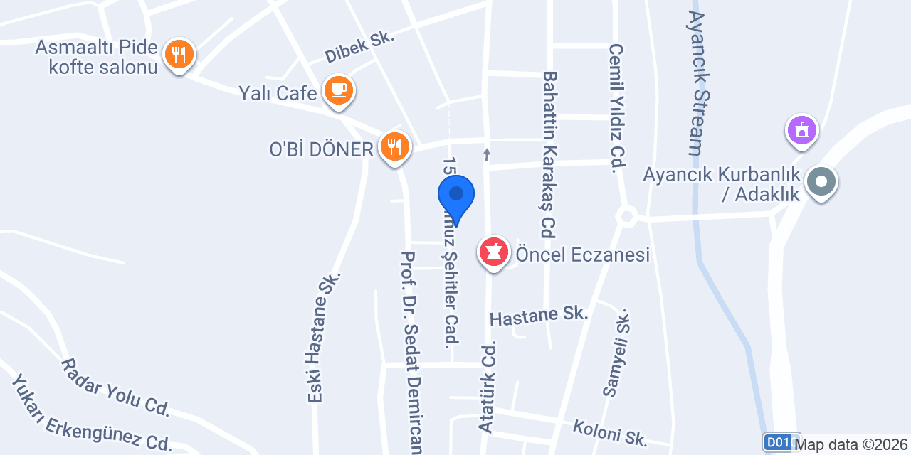 Ayancık Organizasyon konumu
