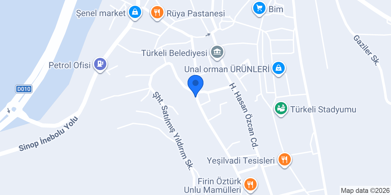Aslan Elektrik konumu