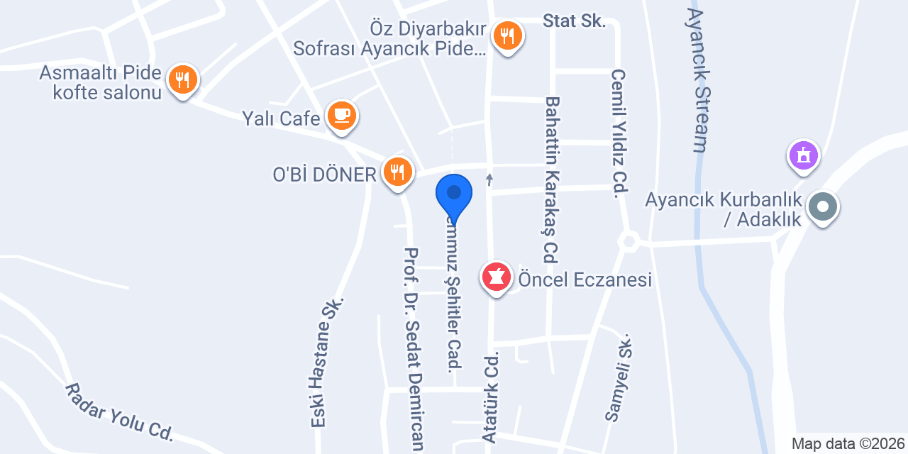 DEMİRBOĞA ELEKTRONİK konumu