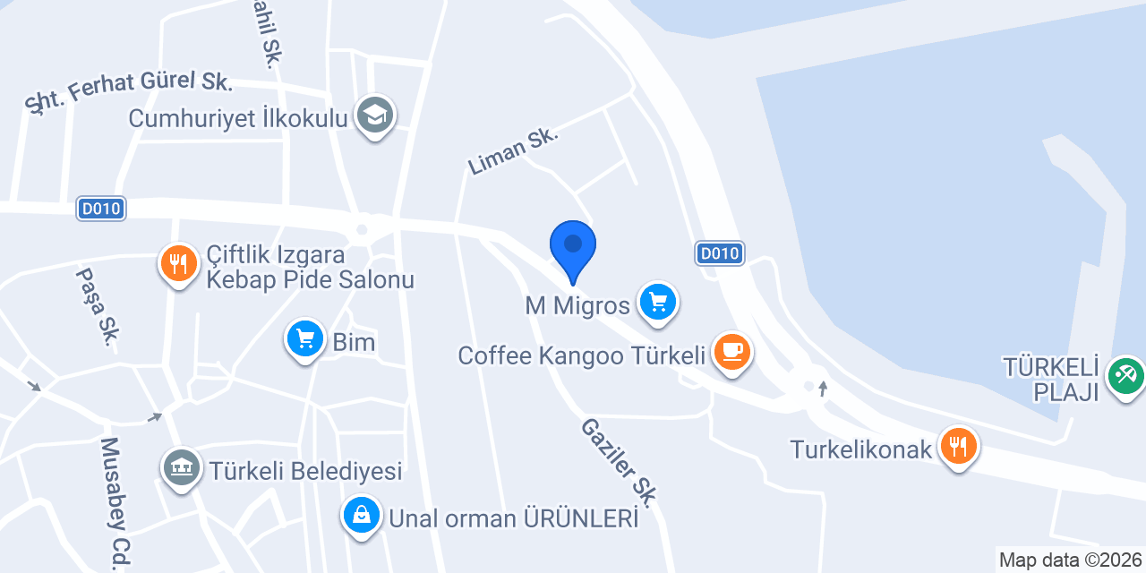 EFE AUTO GARAGE TÜRKELİ konumu