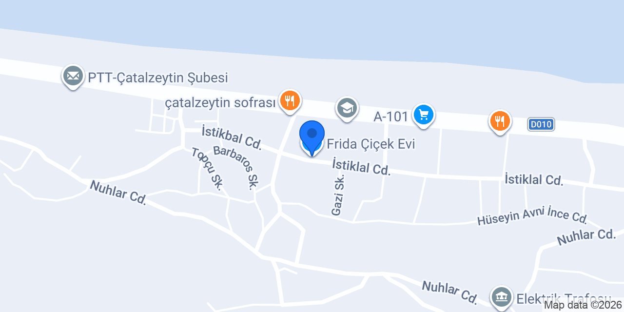 Frida Çiçek Evi konumu