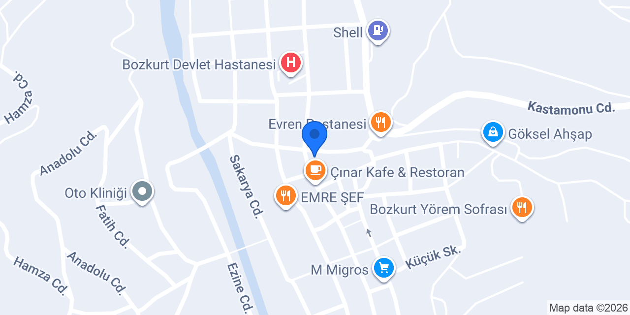 RFK SİGORTA BOZKURT konumu