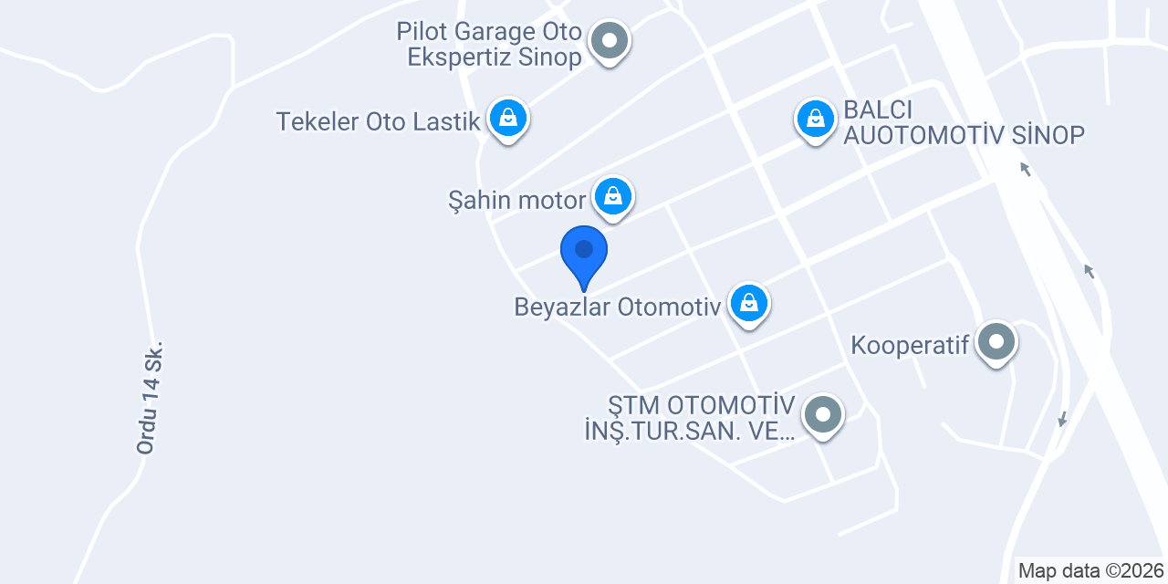 Asel otogaz konumu